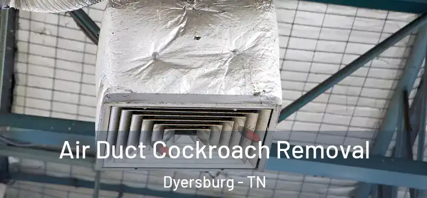  Air Duct Cockroach Removal Dyersburg - TN