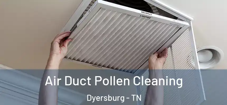  Air Duct Pollen Cleaning Dyersburg - TN