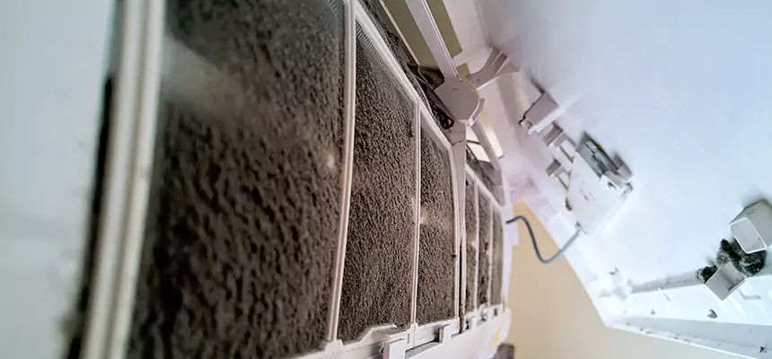 Preventive Air Duct Bacteria Removal in Dyersburg