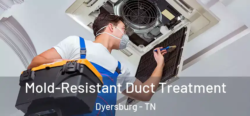  Mold-Resistant Duct Treatment Dyersburg - TN