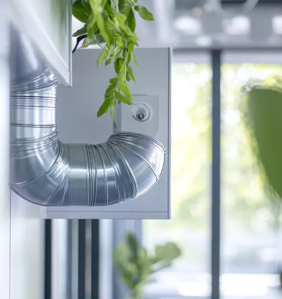 Professional Eco-Friendly Duct Cleaning Services in Dyersburg, TN