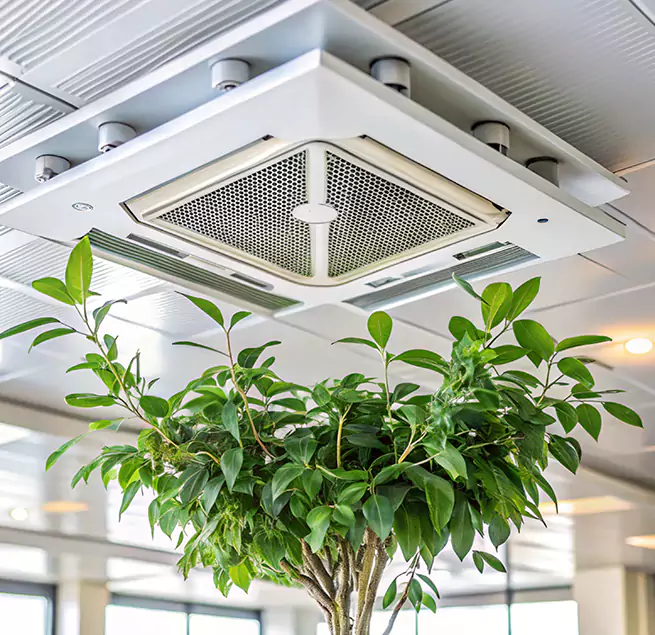 Why Homeowners & Businesses Trust Us in Dyersburg, TN?